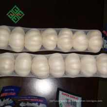 2018 Shandong frischen Knoblauch chinesischen frischen reinen weißen Knoblauch Hersteller von Laiwu Ernte